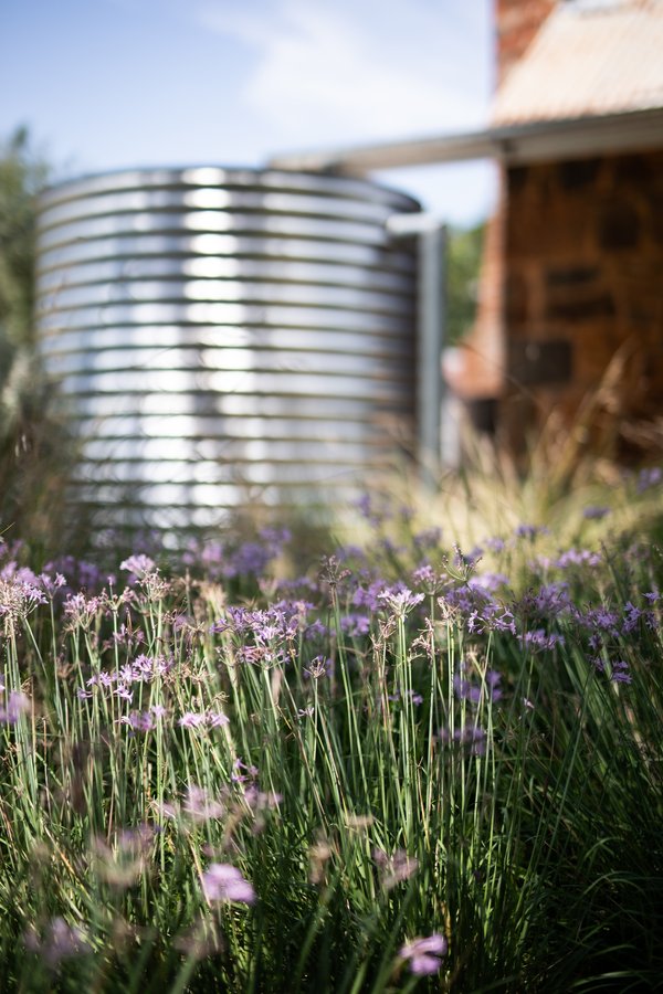 Les cuves de récupération d'eau : optimisez votre jardin !