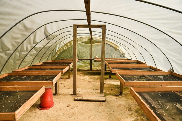 Guide pratique pour choisir votre tente de camping parfaite